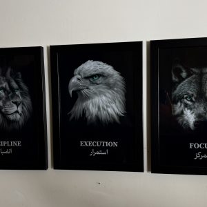 کالکشن نماد موفقیت 3عدد
